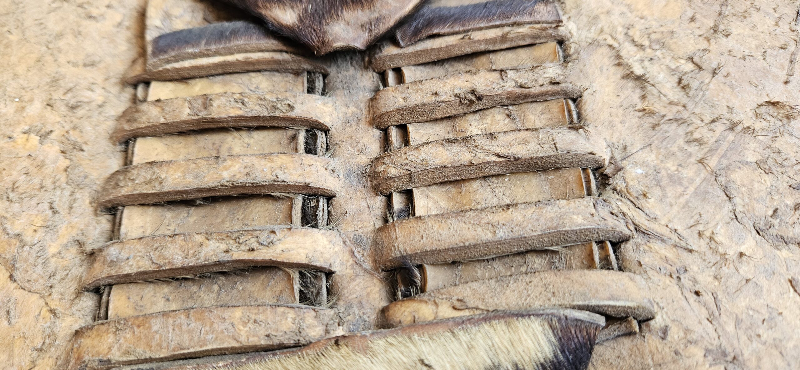 Zulu Antelope Hide Shield (Isihlangu)