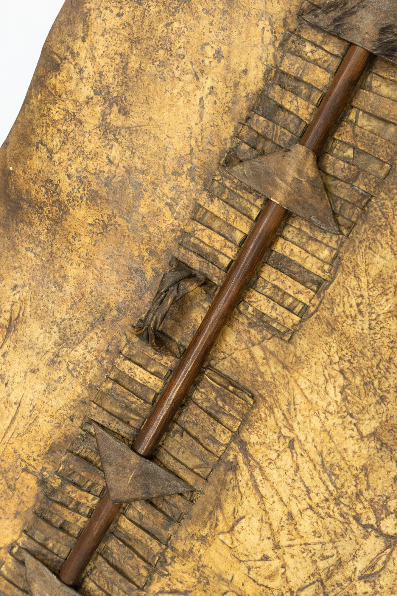 Zulu War Shield (Isihlangu) back close