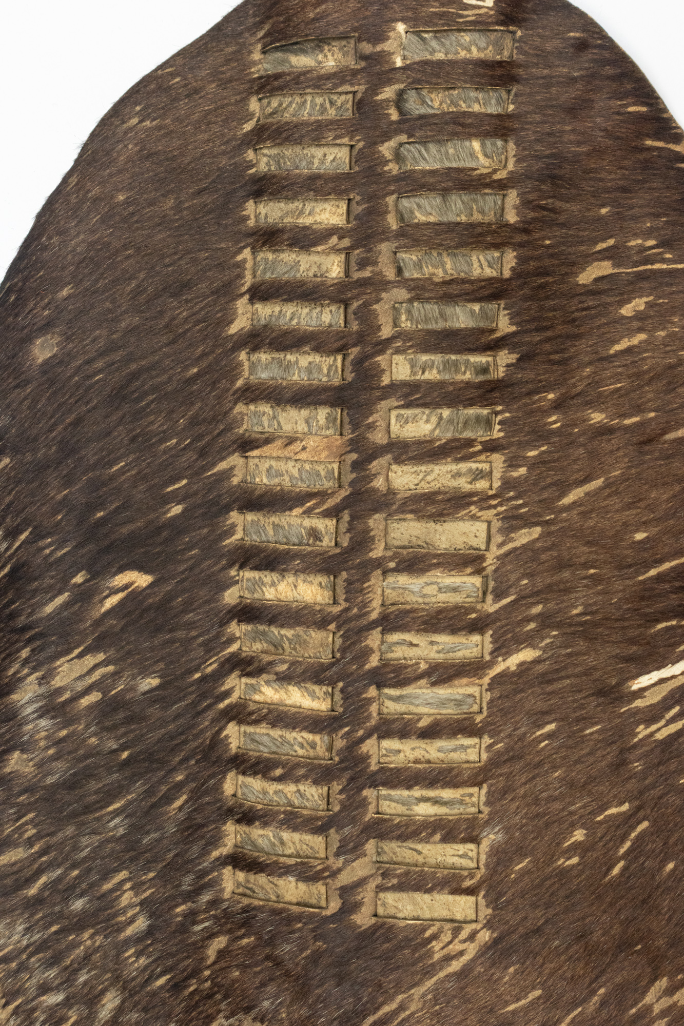 Zulu War Shield (Isihlangu) front close