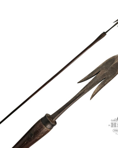 Bontoc Spear- Medium
