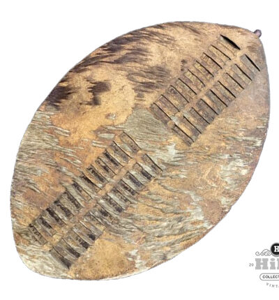 Zulu Umbumbuluzo War Shield